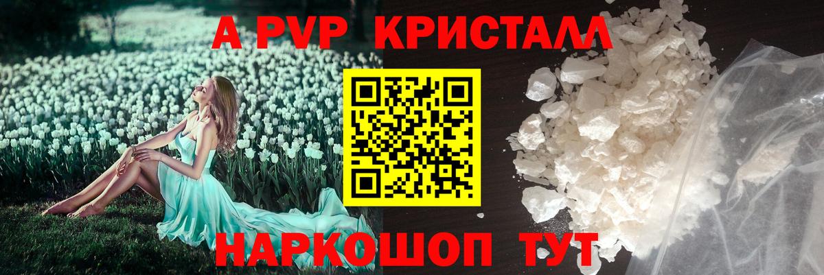 Alpha PVP СК Дальнегорск