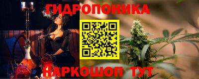 2c-b Камышлов
