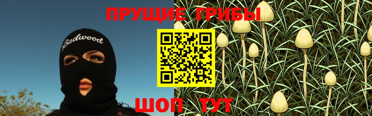 Псилоцибиновые грибы MAGIC MUSHROOMS  цена наркотик  Дальнегорск  Вход с VPN 